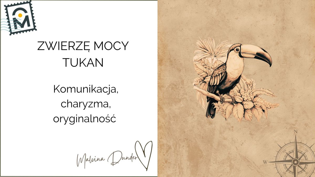 Zwierzę Mocy Tukan znaczenie – komunikacja, indywidualność, odwaga bycia&nbsp;sobą