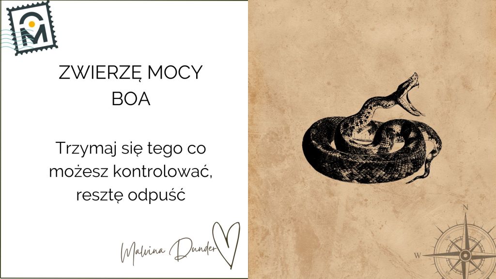 Zwierzę Mocy Wąż Boa znaczenie – symbol kurczowego trzymania, transformacji i&nbsp;uwalniania