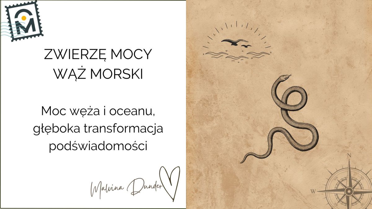 Zwierzę Mocy Wąż Morski znaczenie – zanurzenie w podświadomość, głębia emocji, siła węża i&nbsp;oceanu