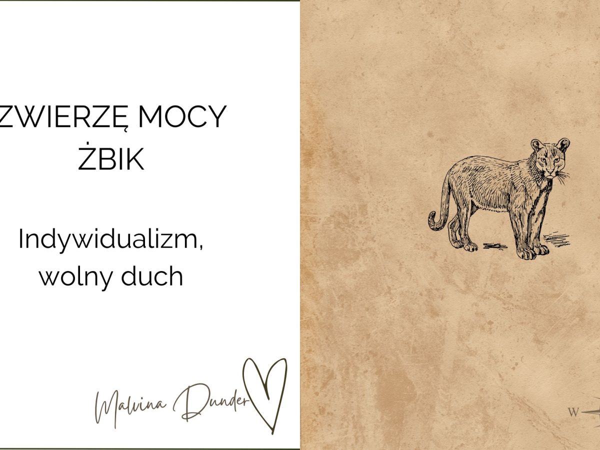 Zwierzę Mocy Żbik znaczenie – niezależność, wolność ducha i siła&nbsp;wewnętrzna