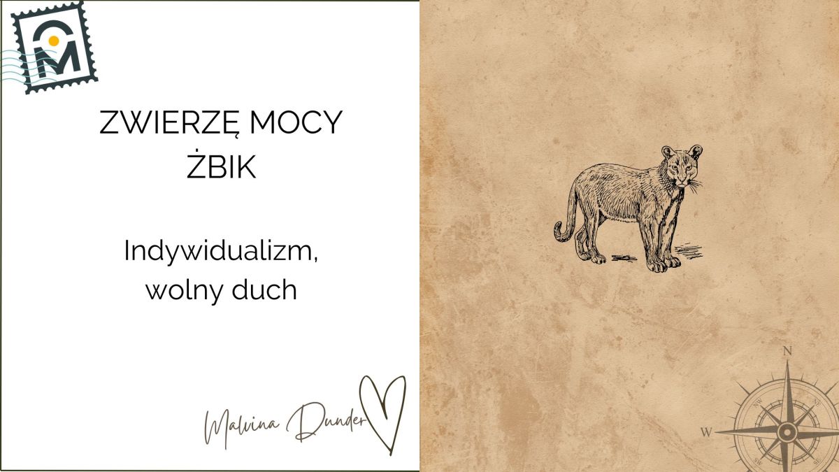 Zwierzę Mocy Żbik znaczenie – niezależność, wolność ducha i siła&nbsp;wewnętrzna