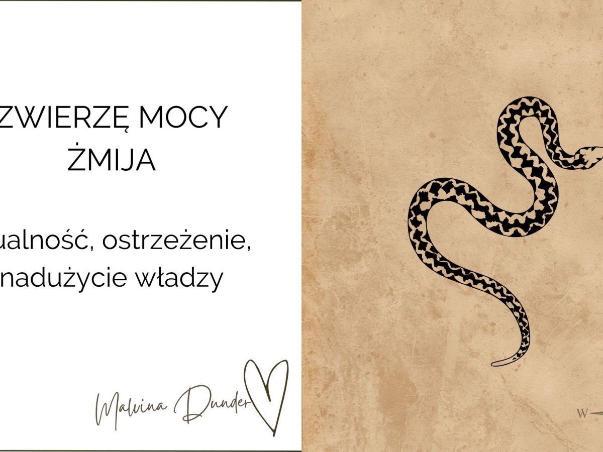 Zwierzę Mocy Żmija znaczenie – transformacja, intuicja i ostrzeżenie przed toksyczną&nbsp;energią