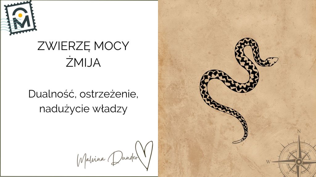 Zwierzę Mocy Żmija znaczenie – transformacja, intuicja i ostrzeżenie przed toksyczną&nbsp;energią