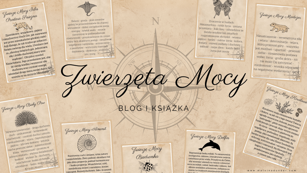 Zwierzęta Mocy blog i książka
