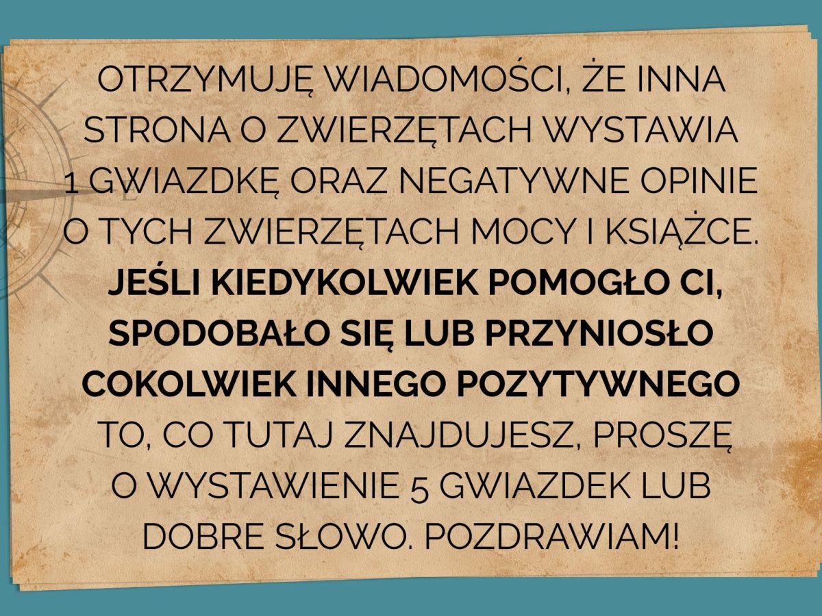 Jeśli coś Ci się tu podoba, dodaj gwiazdki&nbsp;🩵