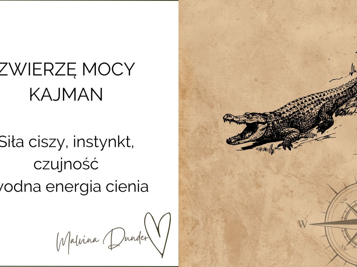 Zwierzę Mocy Kajman znaczenie – czujność, głęboka intuicja i ochrona&nbsp;emocji