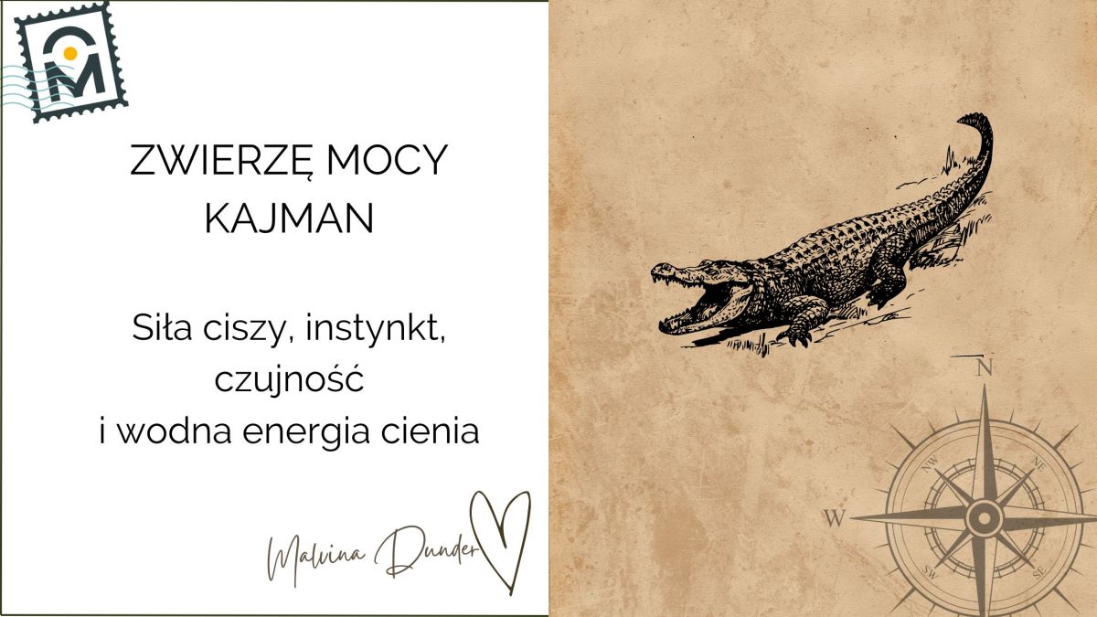 Zwierzę Mocy Kajman znaczenie – czujność, głęboka intuicja i ochrona&nbsp;emocji