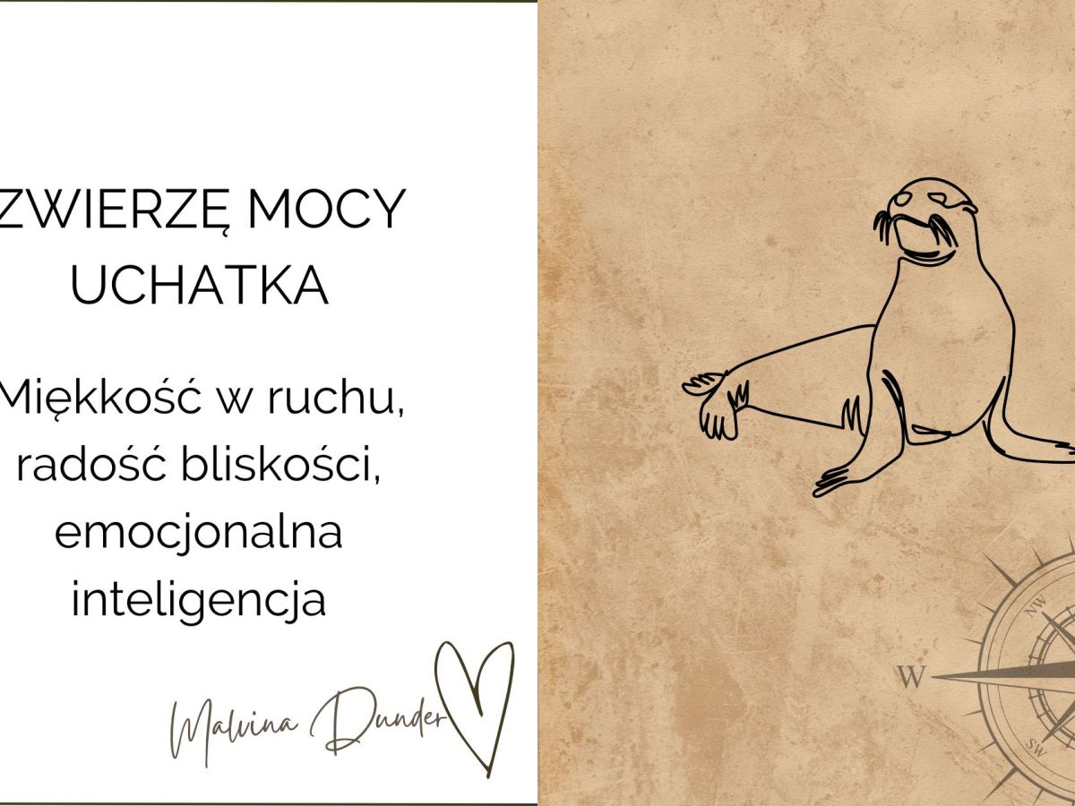 Zwierzę Mocy Uchatka znaczenie – pocieszenie, czułość i emocjonalna&nbsp;bliskość
