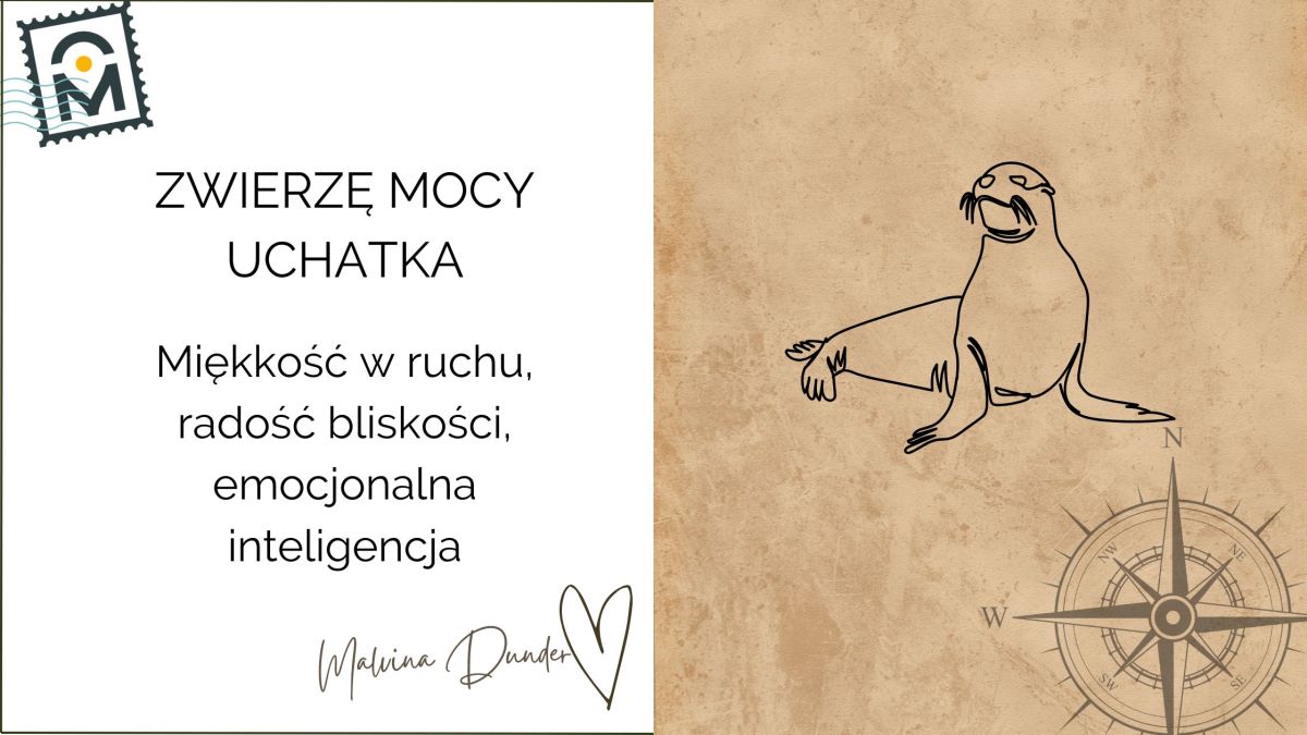 Zwierzę Mocy Uchatka znaczenie – pocieszenie, czułość i emocjonalna&nbsp;bliskość