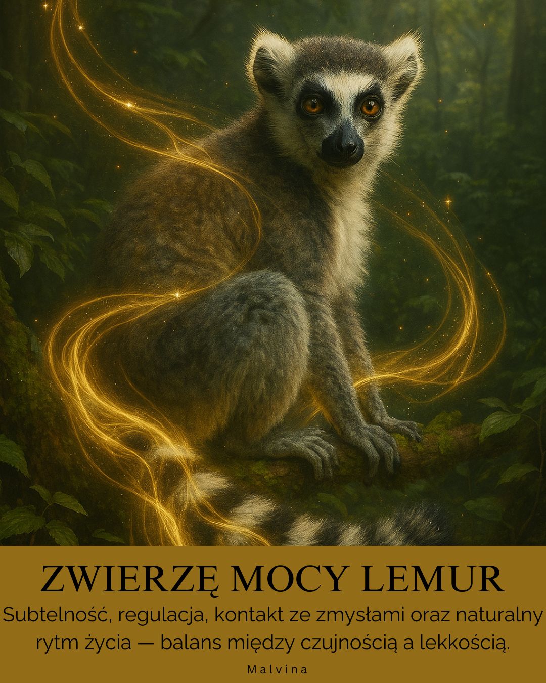 Lemur Zwierzę Mocy znaczenie – intuicji, równowagi zmysłów i powrotu do własnego&nbsp;rytmu