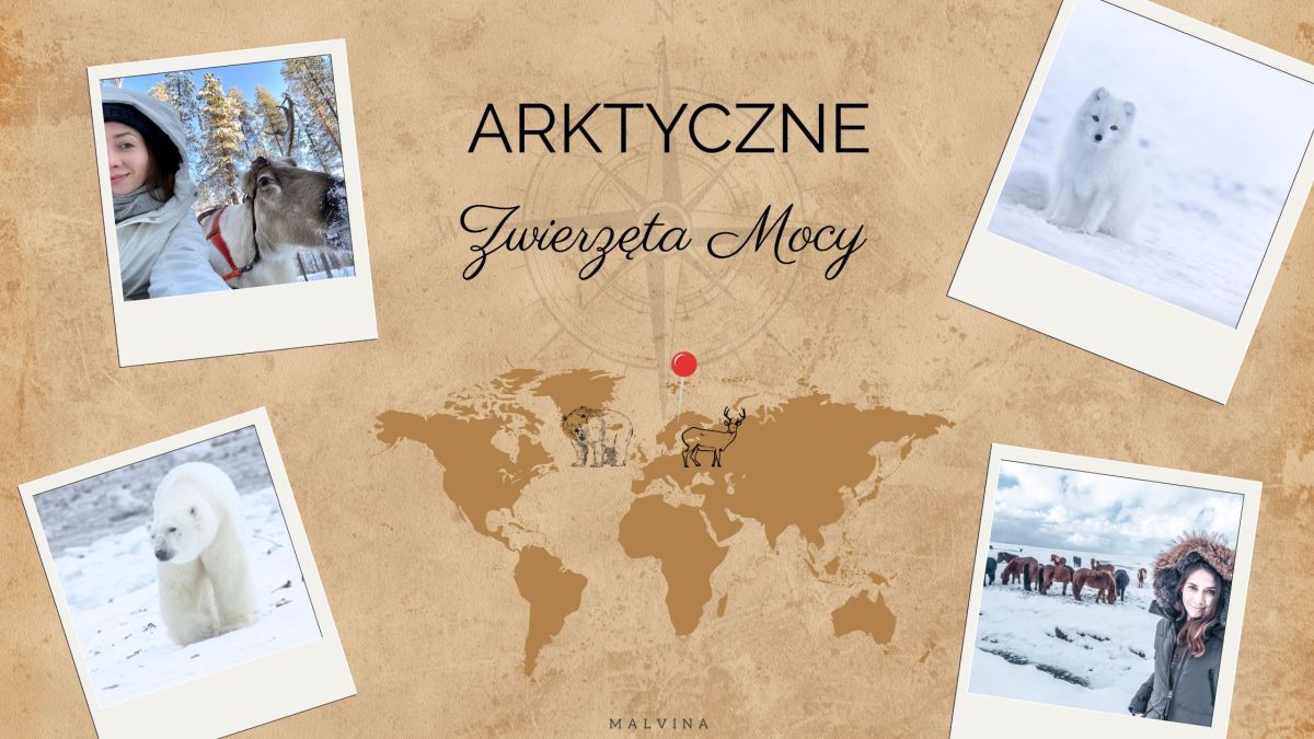 Arktyczne Zwierzęta Mocy – symbolika, znaczenia i mądrość&nbsp;północy