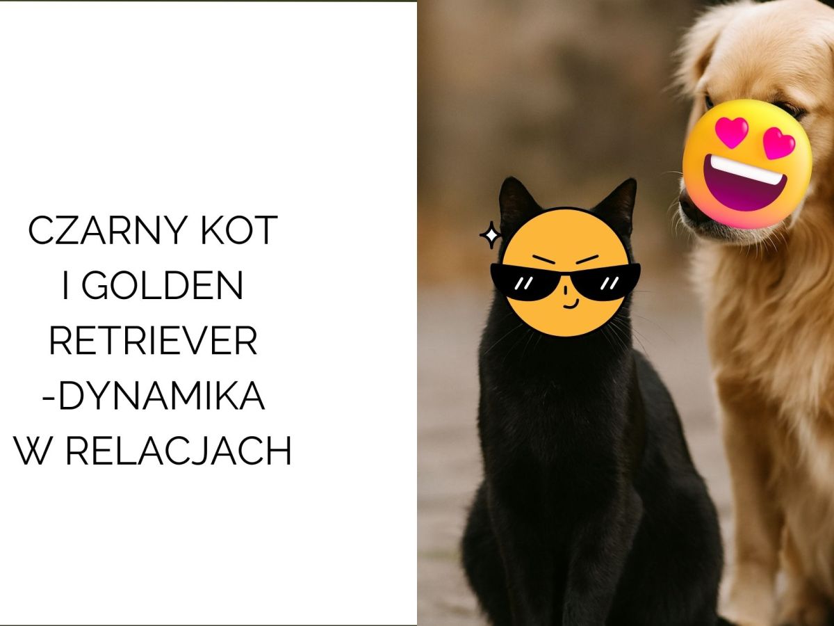 Czarny Kot & Golden Retriever: dwa style energii, które tworzą zaskakująco dobrą&nbsp;relację
