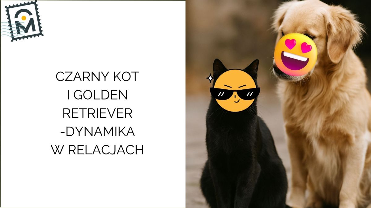 Czarny Kot & Golden Retriever: dwa style energii, które tworzą zaskakująco dobrą&nbsp;relację
