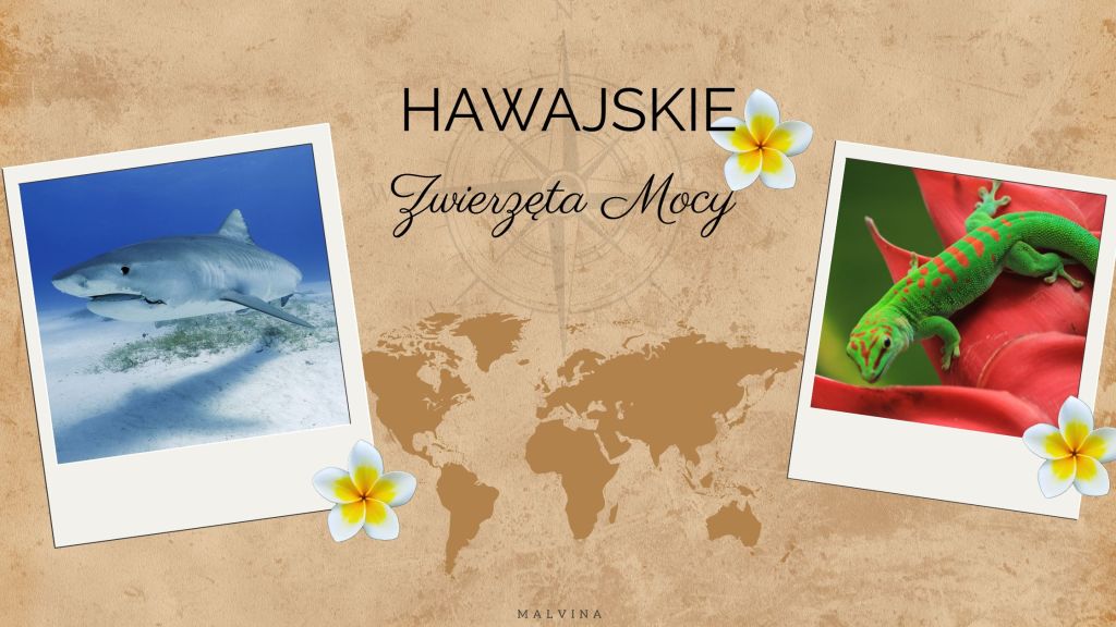 Hawajskie Zwierzęta Mocy – oceaniczne przesłania, symbolika i duchowa mądrość&nbsp;Polinezji