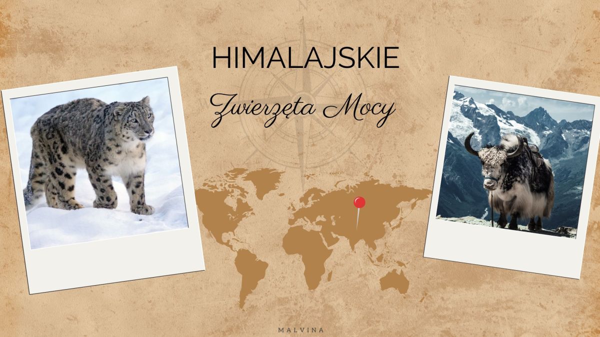 Himalajskie Zwierzęta Mocy – symbolika, znaczenia,&nbsp;archetypy