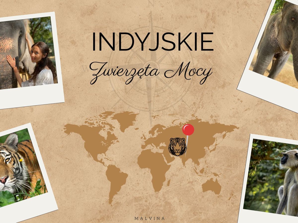 Hinduskie Zwierzęta Mocy – symbolika, znaczenia i archetypy&nbsp;hinduizmu