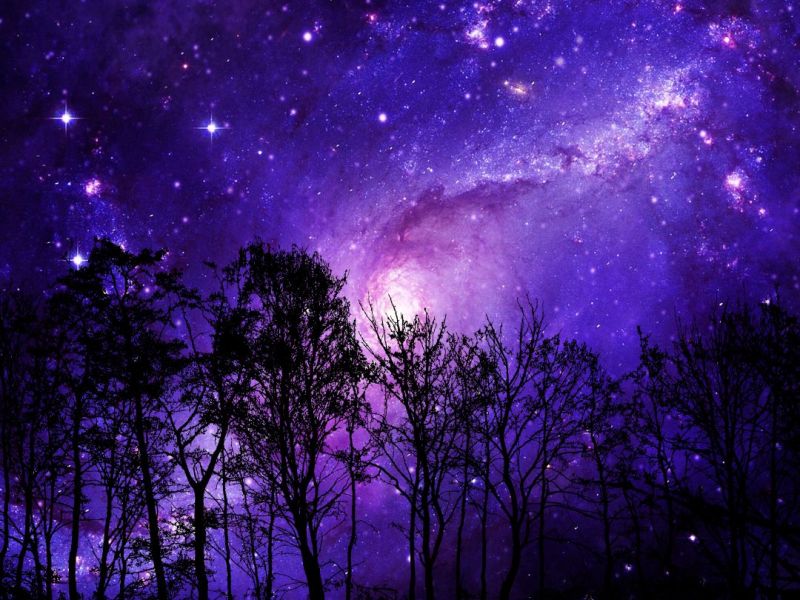 Nowe artykuły i seria „fioletowa”: o tym, co w cieniu. Przed nowym rokiem&nbsp;:)