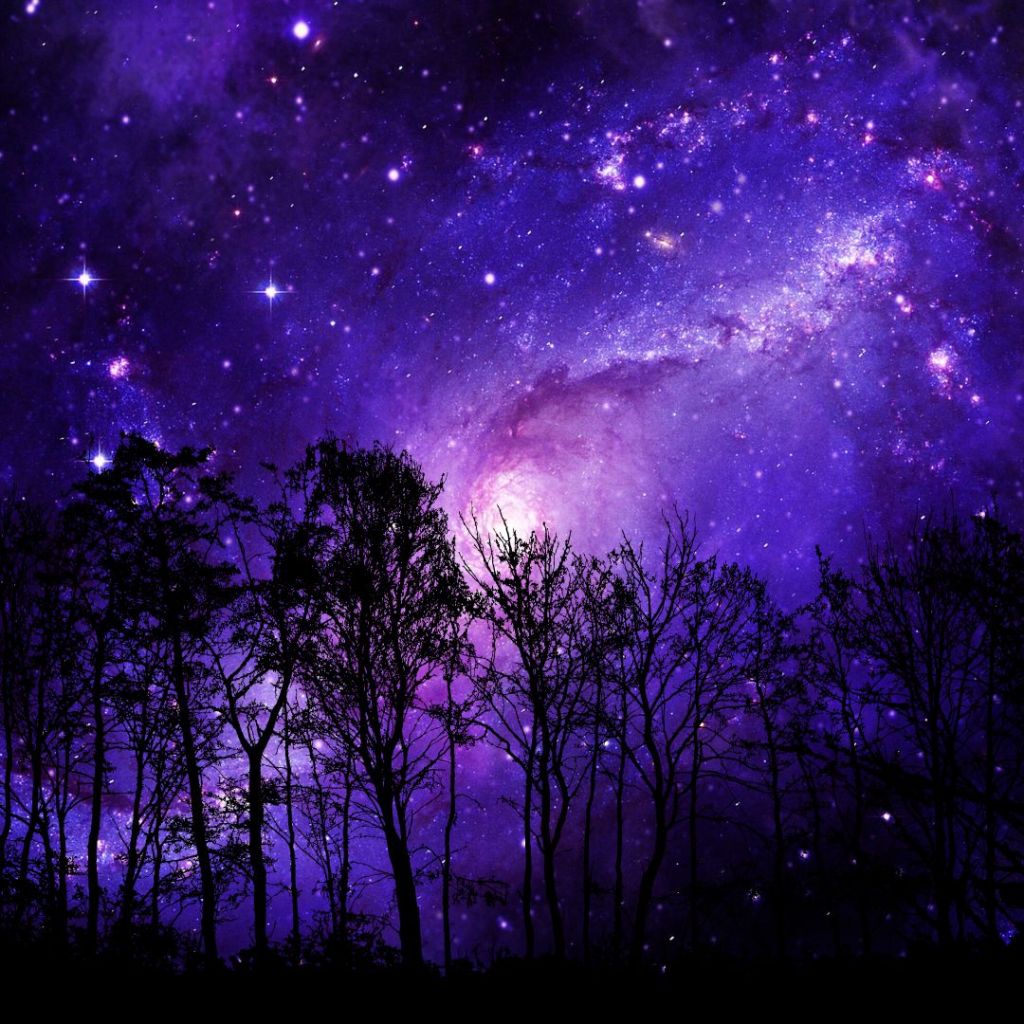 Nowe artykuły i seria „fioletowa”: o tym, co w cieniu. Przed nowym rokiem&nbsp;:)