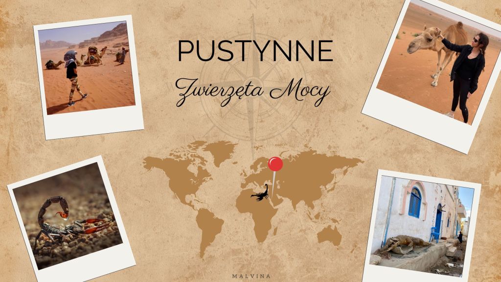 Pustynne Zwierzęta Mocy – symbolika, znaczenia i archetypy&nbsp;natury